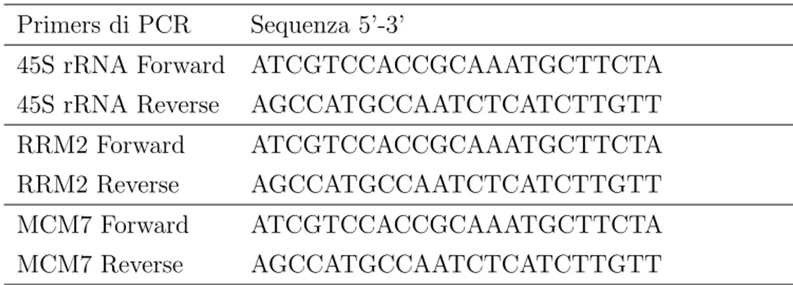 Tabella 3.1: Primers usati per la real time PCR Primers di PCR Sequenza 5’-3’