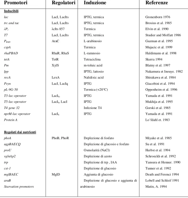 Table 1-1. Promotori maggiormente utilizzati per l’espressione di proteine  ricombinanti in E