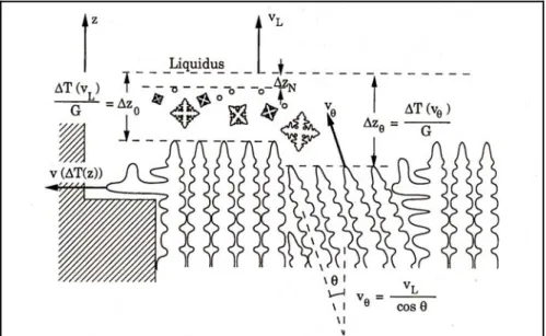 Fig 2.9: diagramma schematico che mostra il meccanismo di competizione tra le  dendriti.[11] 