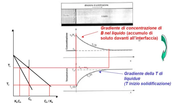 Fig. 1.8 L’effetto della segregazione del soluto nel liquido sulla temperatura  all’interfaccia solido liquido 