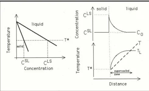 Fig 1.14: diagramma di fase binario e dipendenza della temperatura e della  concentrazione dalla distanza dall’interfaccia