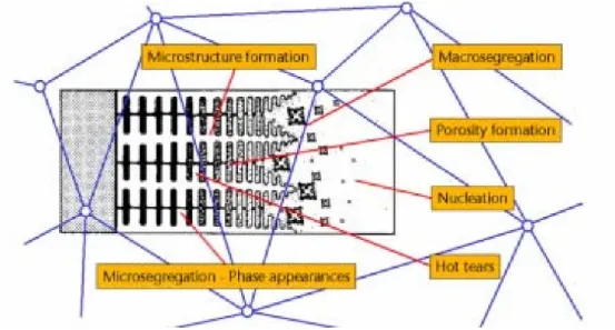 Figura 2.7: La microstruttura si forma all'interno della zona pastosa, dove la mesh è  tradizionalmente più grossolana (ottimizzata per calcoli macroscopici).[9] 