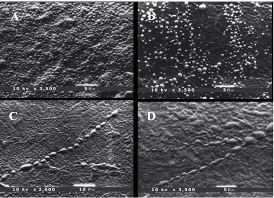 Fig. 2   The arrangement of droplets in samples according to increasing age of the subject