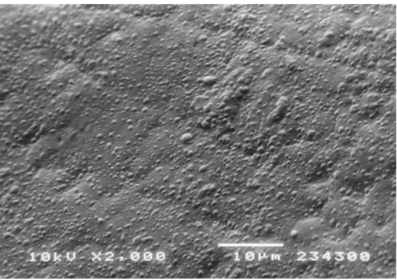 Fig. 2   SEM photomicrograph of 33-yr-old patient enamel surface. According to increasing subject’s age  no difference in droplets distribution were observed