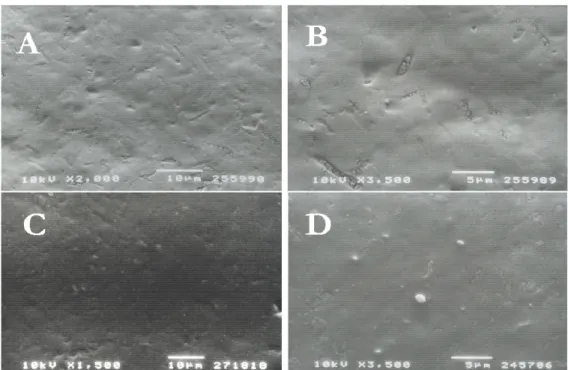 Fig. 3   Scanning  electron  microscopy  (SEM)  photomicrographs  (A,B)  of  fluoride-treated  and  brushed  enamel  replicas  showing  no  CaF 2   aggregates  and  no  water  droplets  were  observable