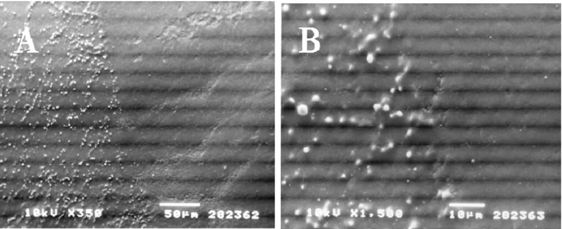 Fig. 6   Low power (350X) micrograph (5A) of replicas of human incisor enamel after fluoride treatment