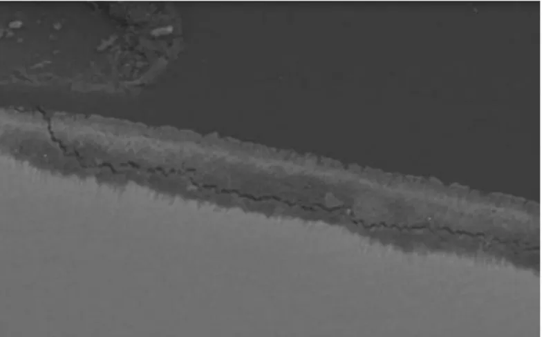 Fig. 4  SEM evaluation of the enamel demineralization in a sample of   Group A: a line of fracture within the lesion