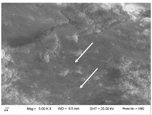Figure 4.3: micrografia SEM SEI della superficie usurata del disco in zirconia, A, testato a 0,7m/s
