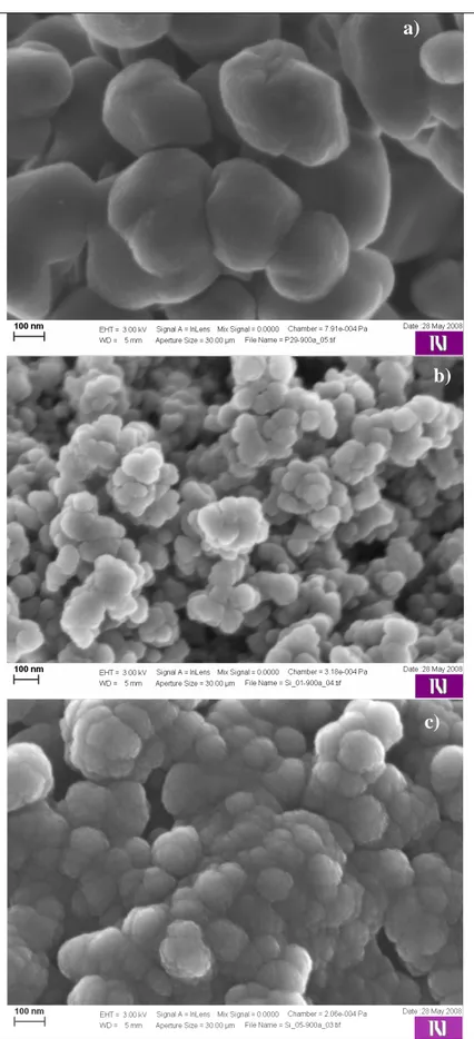 Figura 7.10 – Micrografie FE-SEM dei campioni: a) D; b) Si0,1; c) Si0,5 trattati  termicamente a 900 °C