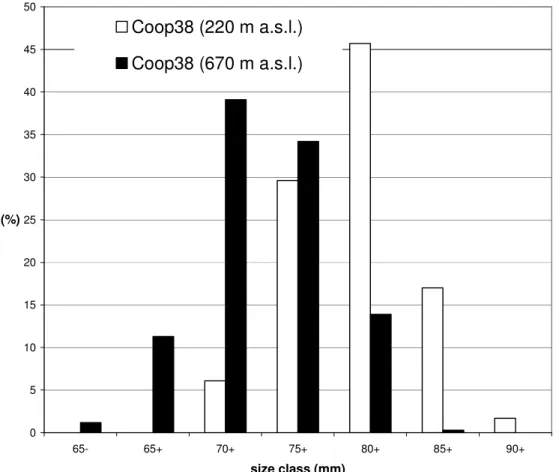 Figure 3b: Size grading results of cv. Coop38 on the 2 sites Laimburg and  Tarsch 
