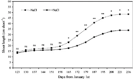 Fig. 1-10: Pattern of the shoot length recoded during growing season in  control (-NaCl) and treated (+NaCl) trees (Musacchi et al., 2006a)