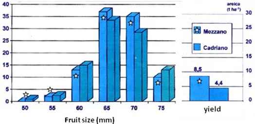 Fig. 1-12: Fruit size for Abbé Fétel/MC located at Mezzano (FE, white star) and at  Cadriano (BO), on the left