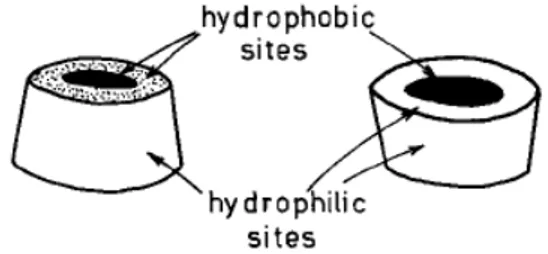 Fig.  3.  Schematic  representation  of  the  hydrophobic  and  hydrophilic  regions of an α-CD cylinder (28)