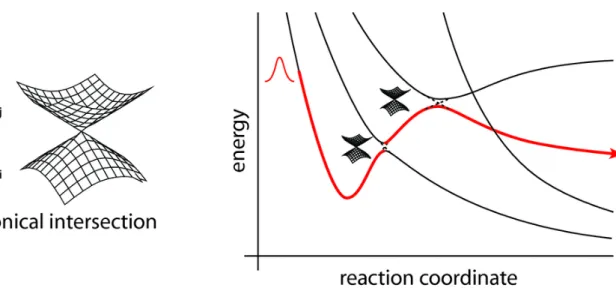 Figure 3.4  There is represented the double cone conical intersection on the left side, while on the  right side a typical view of two surface crossing along the reaction coordinate.