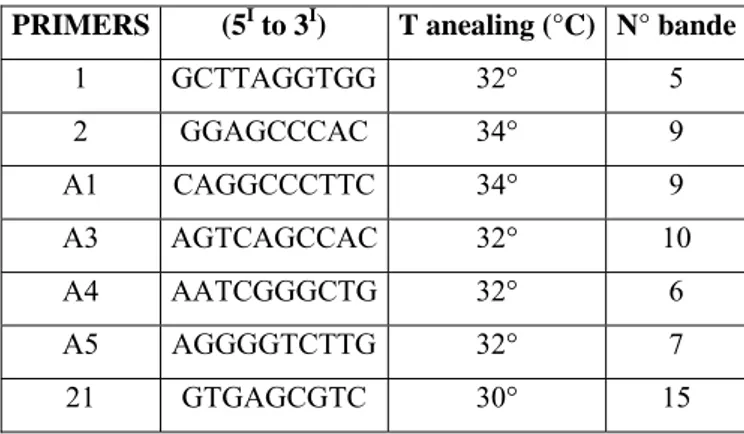 Tabella 2: Sequenza dei primers utilizzati nell’analisi RAPD,   relative temperature di anealing e numero di bande presenti