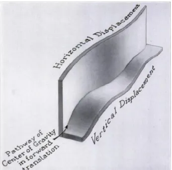 Figura 4. Moto del centro di massa. Da Saunders et al. [23].