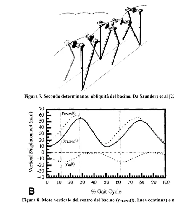 Figura 8. Moto verticale del centro del bacino (y TRUNK (t), linea continua) e moto  teorico   dello   stesso   in   assenza   dell'obliquità   del   bacino   (y NC-PO (t),   linea  tratteggiata)