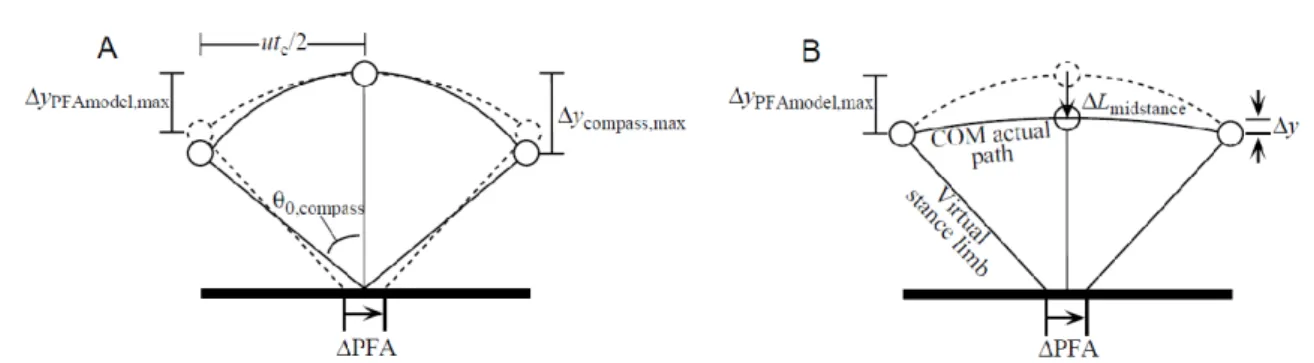 Figura 14. Modelli interpretativi utilizzati da Lee e Farley [32] per valutare l'effetto dello spostamento  del punto di appoggio del piede (A) e dell'accorciamento virtuale  della gamba (B) sull'altezza del centro  di massa