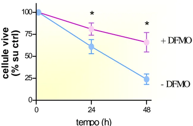Figura  4  Cellule  esposte  ad  ischemia  simulata  in  presenza e in assenza di DFMO. 