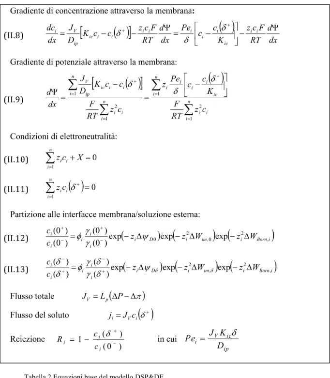 Tabella 2 Equazioni base del modello DSP&amp;DE. 