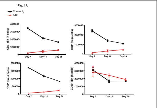 Figure 1: mATG depletes naïve T cells, preserves natural Tregs and  prolongs allograft survival 