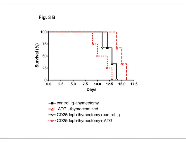 Figure 3B. Kaplan-Meier graphs depicting full MHC-mismatched skin  allograft survival in thymectomized or non-thymectomized recipients with or  without CD25 pre-depletion and mATG induction therapy