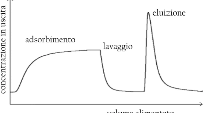 Figura 1.3: Profilo qualitativo di un ciclo completo di affinità. È possibile distinguere le  fasi di adsorbimento, lavaggio ed eluzione