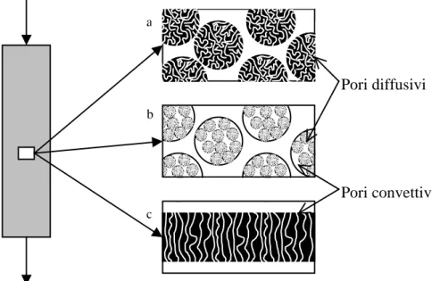 Figura 1.4: Schemi dei diversi tipi di cromatografia di affinità. (a) particelle diffusive,  (b) particelle perfusive, (c) membrane microporose