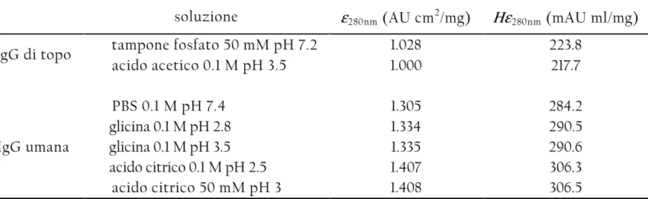 Tabella  2.7:  Coefficienti  di  estinzione  dell’IgG,  εεεε 280nm ,  e  fattore  di  conversione  da  assorbanza a 280nm (mAU) a concentrazione (mg/ml) per l’FPLC ÄKTApurifier 100