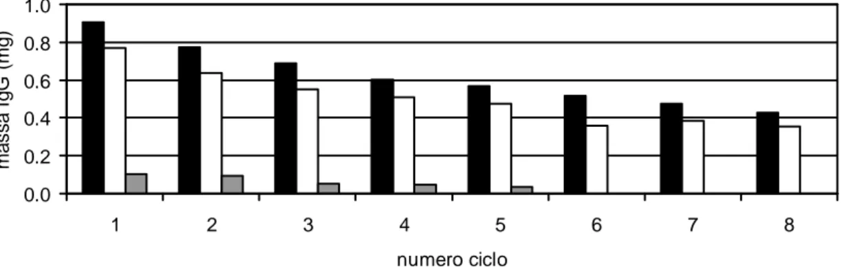Figura 3.8: Quantità di IgG adsorbita ( ), eluita (  ) e rigenerata (  ) relativamente ai  cicli cromatografici eseguiti
