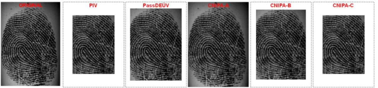 Figure 2.16 – Fingerprint image acquired by simulating scanners compliant with each IQS