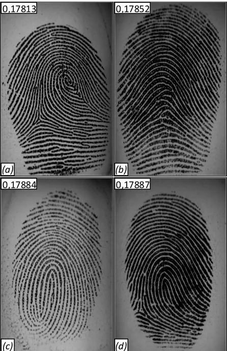 Figure 2.22 - Fingerprint images with different characteristics: high (a) and low (b) frequency,  small (c) and large (d) gray level range