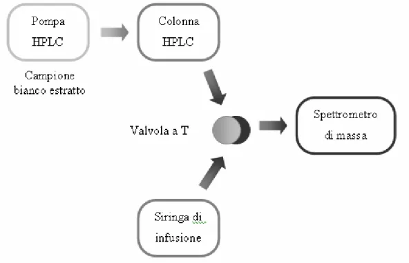 Figura 13: Schema della modalità di verifica della soppressione ionica della matrice  (modificato da Antignac J.-P
