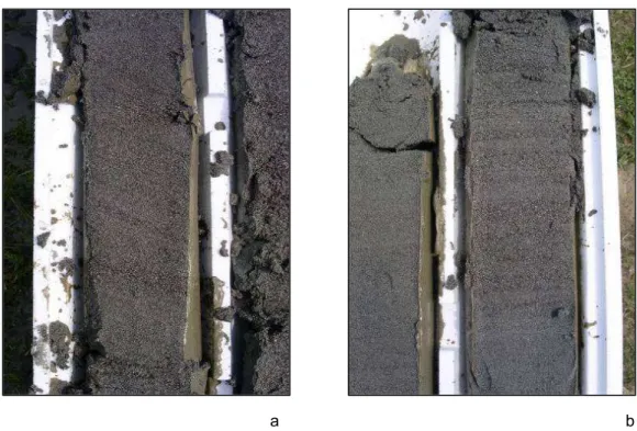 Fig.  28.  Esempi  di  strutture  sedimentarie  dal  sondaggio  MN1.  a:  laminazione  ad  alto  angolo  all’interno  del sondaggio MN1 (da 111,50 a 111,70 m di profondità)