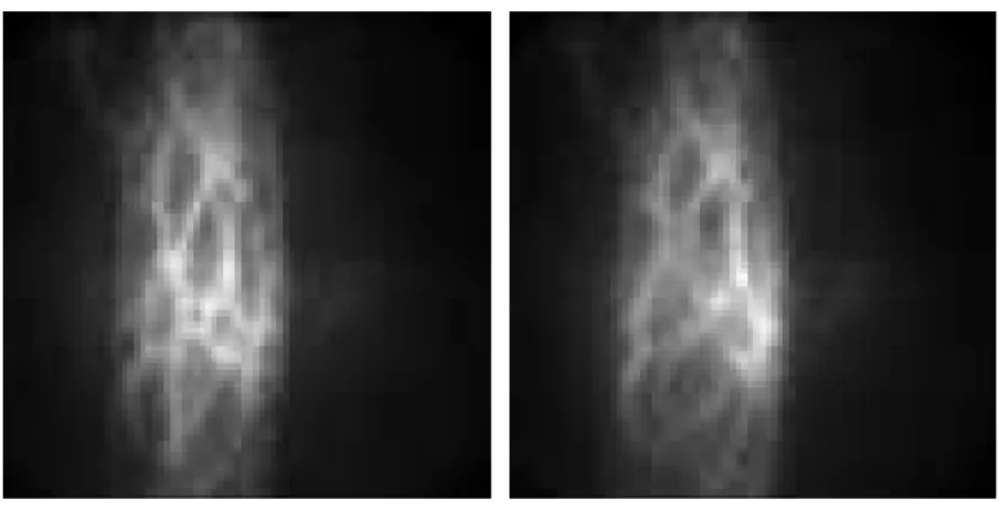 Fig.  3.  Example  of  deformation  occurring  during  intraganglionic  injection.  In  a  the  ganglion  appear  before  the  application  of  the  stimulus