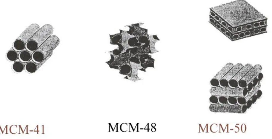 Fig. 33. Raffigurazione dei principali materiali appartenenti alla famiglia degli  MCM (Mobil Composition of Matter) [141]