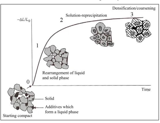 Fig: 1.3: Scheme of the different stage of the liquid phase sintering which shows the  microstructural evolution of a green compact