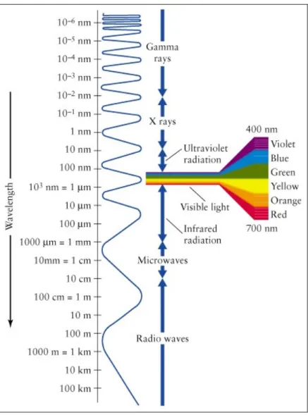 Fig. 1.2 – Rappresentazione dello spettro elettromagnetico in funzione della lunghezza d’onda dei segnali