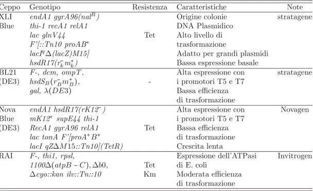 Tabella 2.8: Caratteristiche genetiche dei ceppi competenti di E. coli impiegati per la trsformazione del doppi mutanti pREB1A e pREB2A.