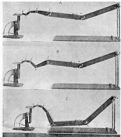 Fig.  1.14.  Braccio  meccanico,  con  il  quale  Ortmann  mostra  l’effetto  del  rilassamento  delle     