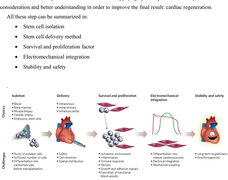 Figure 9. True cardiac regeneration with stem cell therapy will require careful consideration at each step, from isolation of the cells to  their stable and safe long term integration (Figure from Vincent F