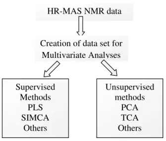 Figure 1. Exemple of chemometric methods that can be utilized during the analysis of HR-MAS NMR spectral  data