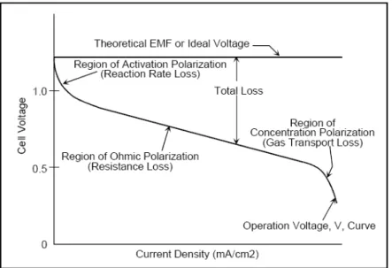 Figura 4: Caratteristica ideale e reale di tensione e corrente in una Fuel Cell [6]. 