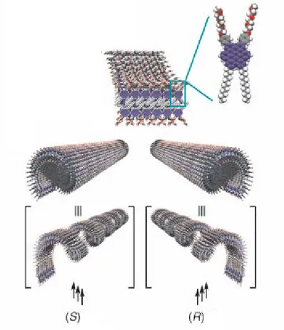 Figura 2.2:  Rappresentazione schematica della formazione di nanotubi chirali ottenuti per trasposizione della  chiralità molecolare in chiralità supramolecolare