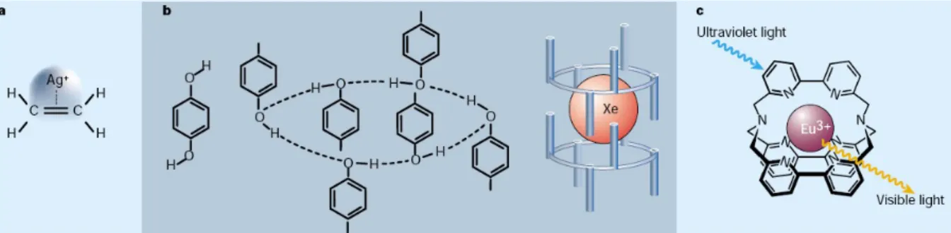 Figure 2.1  Supramolecular structures formed by intermolecular interactions. a, A donor–acceptor complex  involving silver and ethene