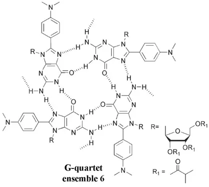 Figure 2.9  The Hoogsteen-type interactions stabilize a tetrameric self-assembled  G-quartet