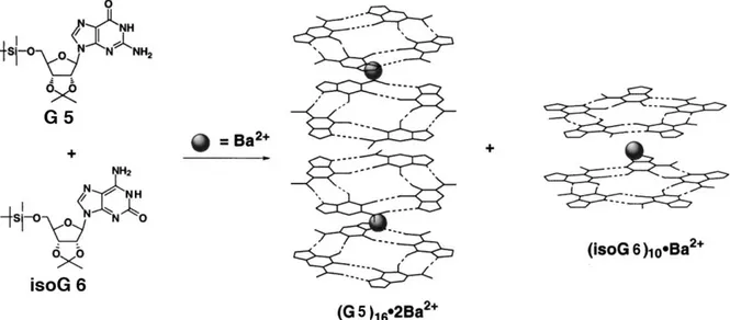 Figure 2.19 The isomers G 5 and isoG 6 ‘self-sort’ in the presence of barium picrate to give discrete complexes.