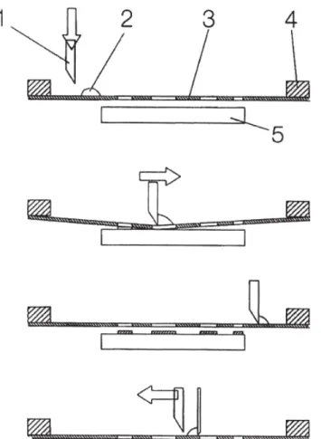 Figura 3.1 – Rappresentazione delle operazioni di stampa Dove:  1: racla  2: inchiostro  3: schermo o retino  4: telaio  5: oggetto da stampare 