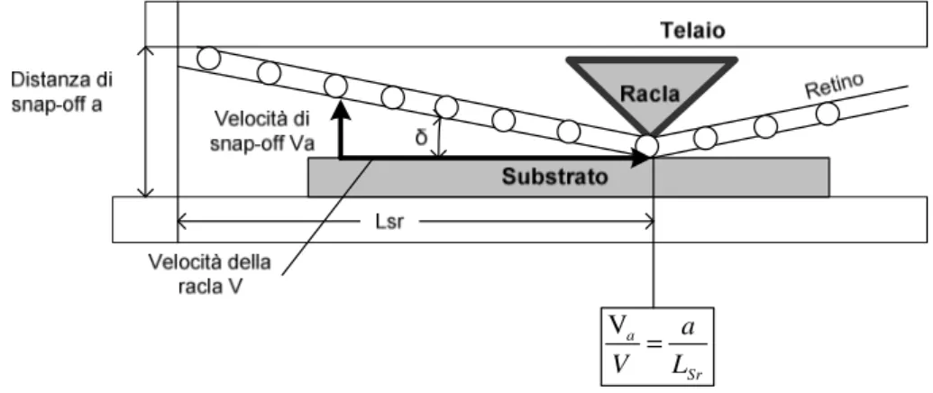 Figura 3.9 – Relazione tra la velocità di distacco (snap-off) V a  e la velocità della racla 