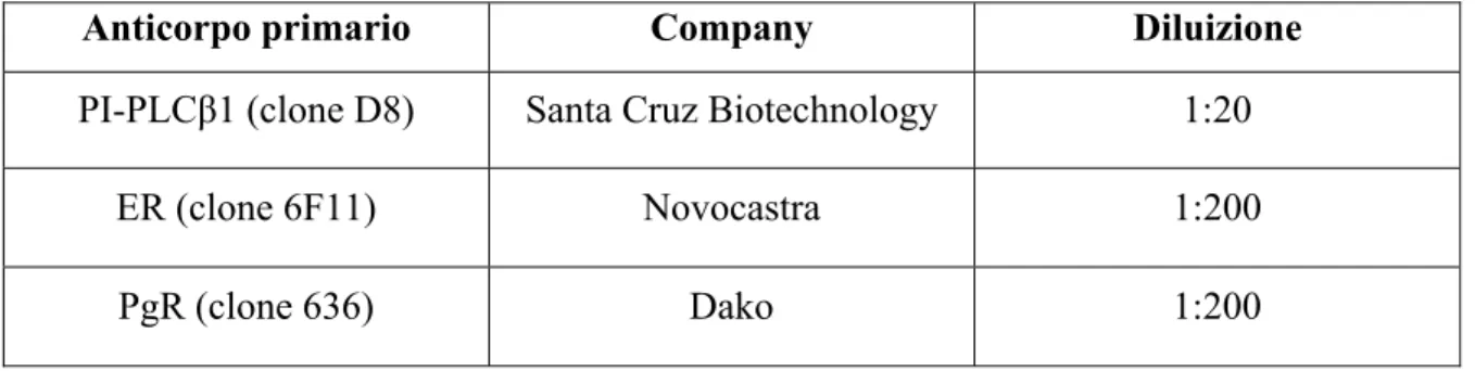 Tabella 2. Anticorpi utilizzati per le analisi in immunoistichimica 